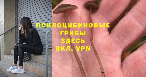 каннабис Нефтекумск